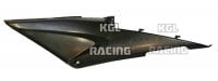 Sidecover LH side for CBR 600 RR, PC37, 05-06