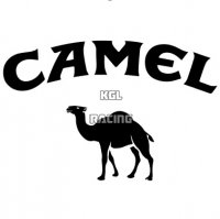 CAMEL auto collant