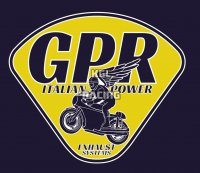 GPR for Moto Guzzi Quota 1100 Es 1998/2001 - Homologated Silencer without link pipe - Vintavoge Bronze Cafè Racer