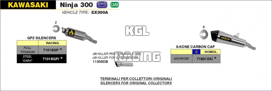 Arrow pour Kawasaki NINJA 300 2013-2016 - Kit silencieux GP2 - Cliquez sur l'image pour la fermer