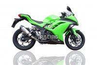 GPR pour Kawasaki Ninja 300 R 2012/16 Euro3 - Homologer Slip-on - Gpe Ann. Titaium