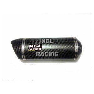KGL Racing silencers DUCATI MONSTER 696-796-1100 - DOUBLE FIRE CARBON