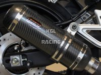 ENDY silencer for BMW R 1250 R / RS 2019-2020 - LEGEND CARBON