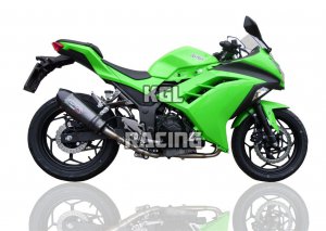GPR pour Kawasaki Ninja 300 R 2012/16 Euro3 - Homologer Slip-on - Gpe Ann. Poppy