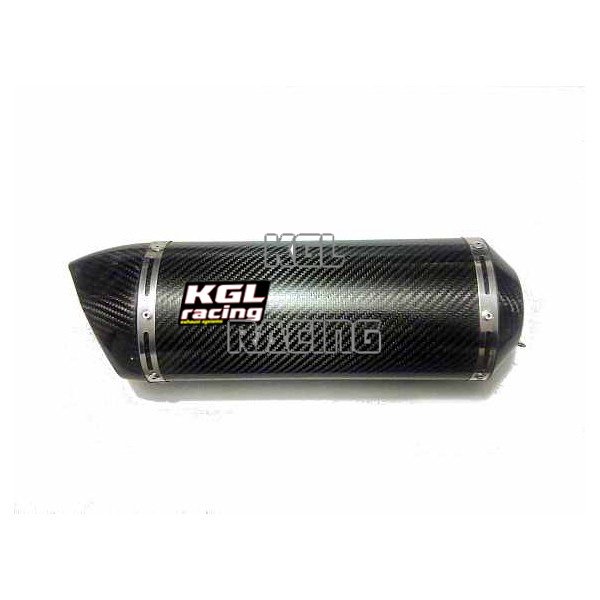 KGL Racing silencer BMW F 800 S / ST '06->> - DOUBLE FIRE CARBON - Click Image to Close