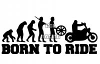 BORN TO RIDE sticker