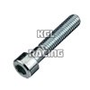 Allen screw cylinder Galvanized 8.8 - M3 x 10mm - 500 pieces