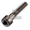 Allen screw cylinder Stainless steel - M2 x 10mm - 500 pieces