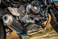 GPR voor Kawasaki Z 650 RS - ZR 650 RS Ann. 2021/2022 Volledig systeem met katalisator - Satinox Poppy