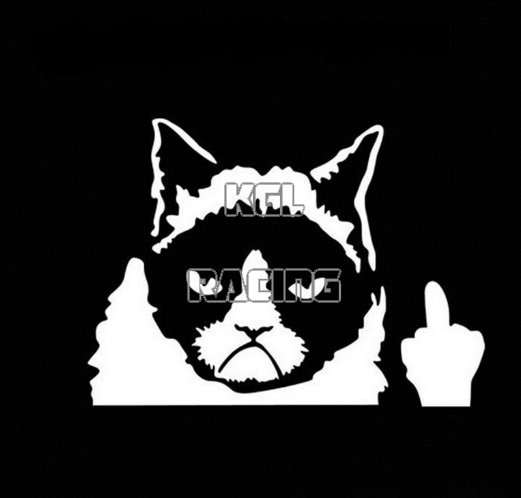 Grumpy Cat sticker - Klik op de afbeelding om het venster te sluiten